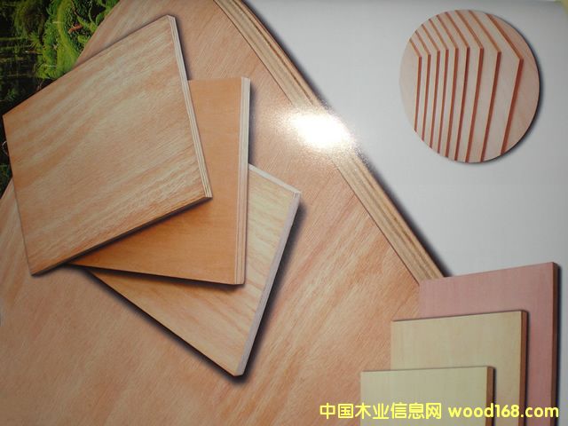 �c���鿴��ľ����Ŵ�DƬ