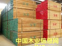 �c(di��n)���鿴����(gu��)�ں��Ұ�ķŴ�DƬ