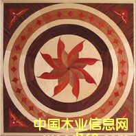 �c(di��n)���鿴NSF-F6-Hua007�Ŵ�DƬ