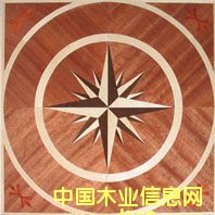 �c(di��n)���鿴NSF-F6-Hua006�Ŵ�DƬ