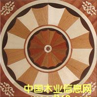 �c(di��n)���鿴NSF-F6-Hua005�Ŵ�DƬ