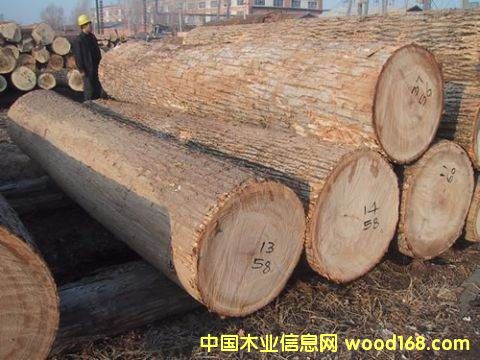 �c���鿴�����Ŵ�DƬ