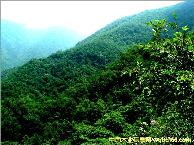 �c(di��n)���鿴1000��/�·Ŵ�DƬ