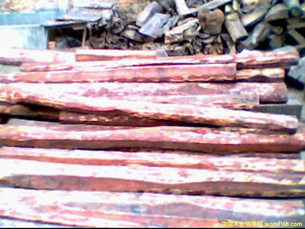 Խ��С�~��̴��Ԕ��(x��)��B