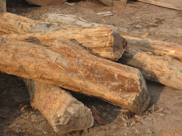 �c(di��n)���鿴���S̴(ţ��ľ)�Ŵ�DƬ