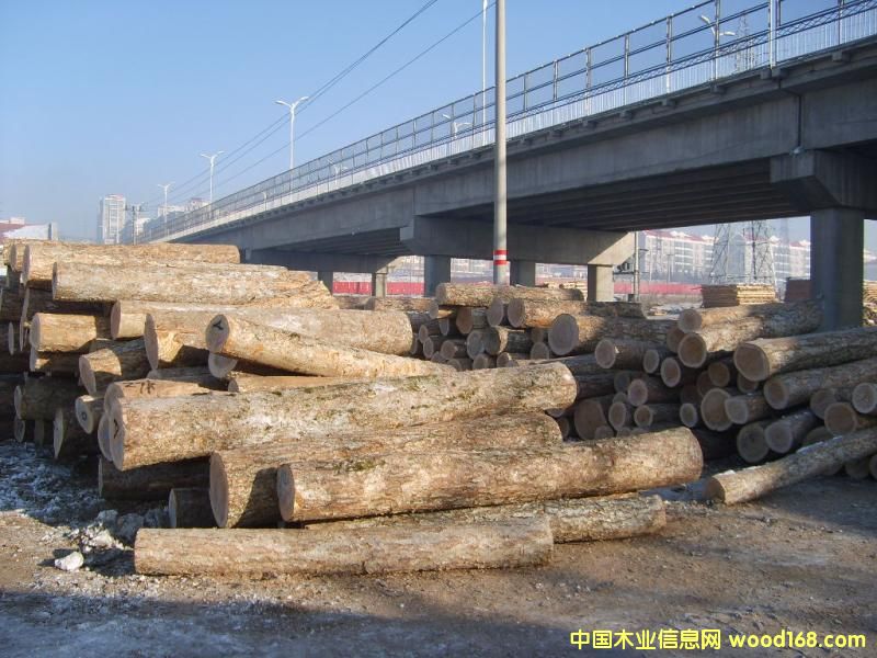 ���_˹����2