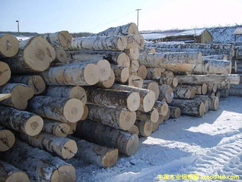 ���������ט壱