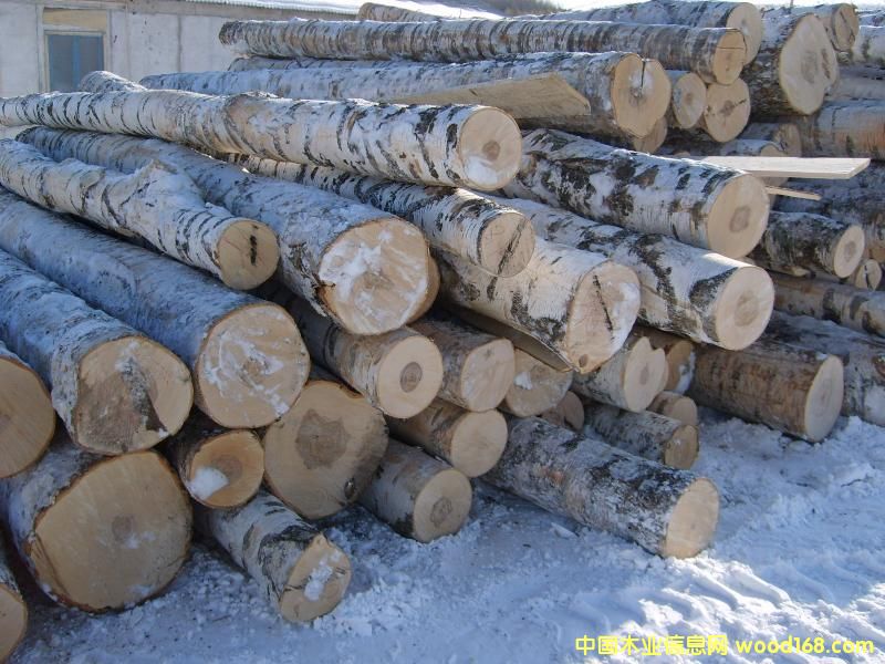 ���������ט売