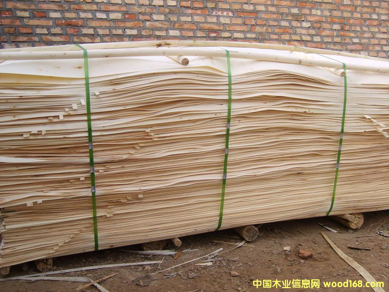 ��ľƤ��Ԕ��(x��)��B