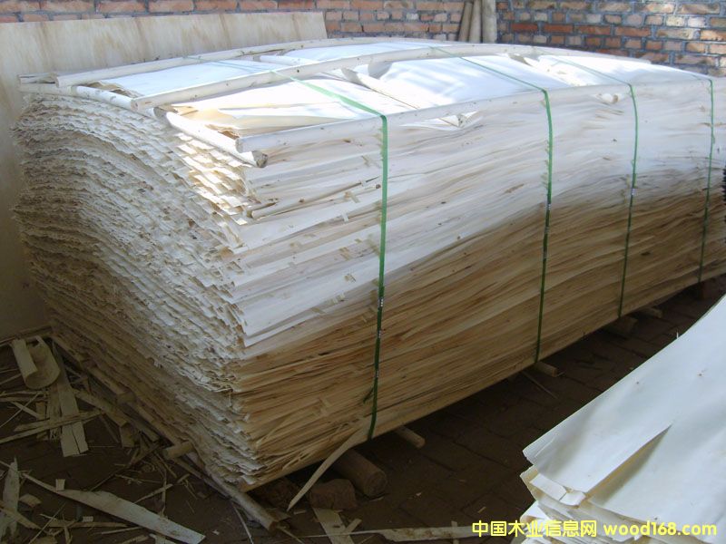 ��ľƤ��Ԕ��(x��)��B