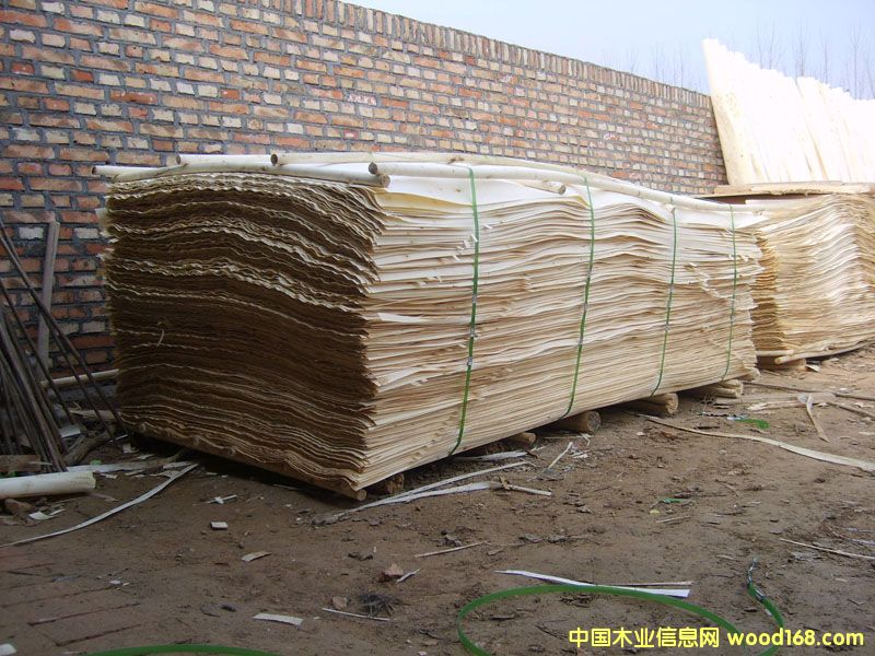 ��ľƤ��Ԕ��(x��)��B