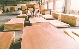 ���Ӱ��Ԕ��(x��)��B