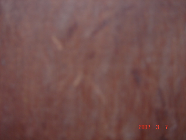 ���޼tľ��9��Ԕ��(x��)��B