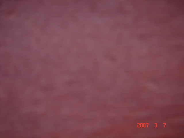 ���޼tľ��10��Ԕ��(x��)��B