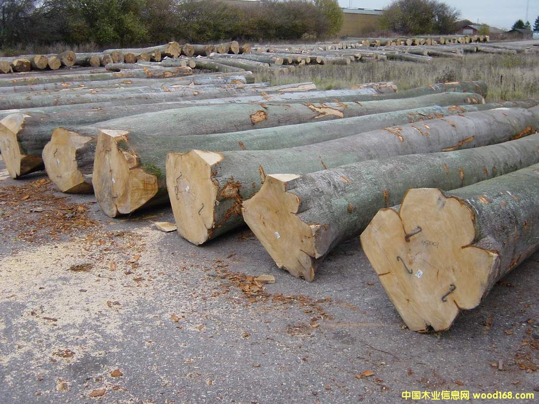 ����ľԭľ��Ԕ��(x��)��B