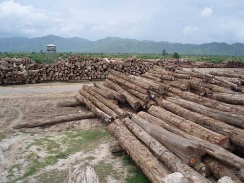 ��ľԭľ��Ԕ��(x��)��B