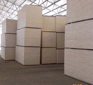 ��ľ�A���Ԕ����B