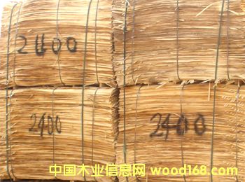 ��ľ�ΰ��Ԕ��(x��)��B