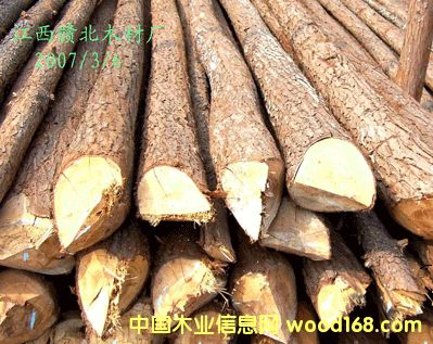 ɼľ��Ԕ��(x��)��B