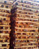 ���Ʒ��Ԕ����B