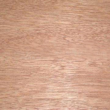 �c(di��n)���鿴bintaqorplywood�Ŵ�DƬ