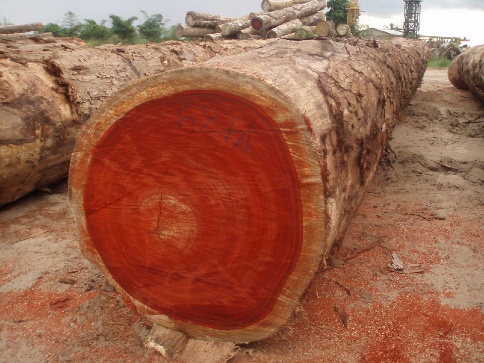 �t�����Ԕ��(x��)��B