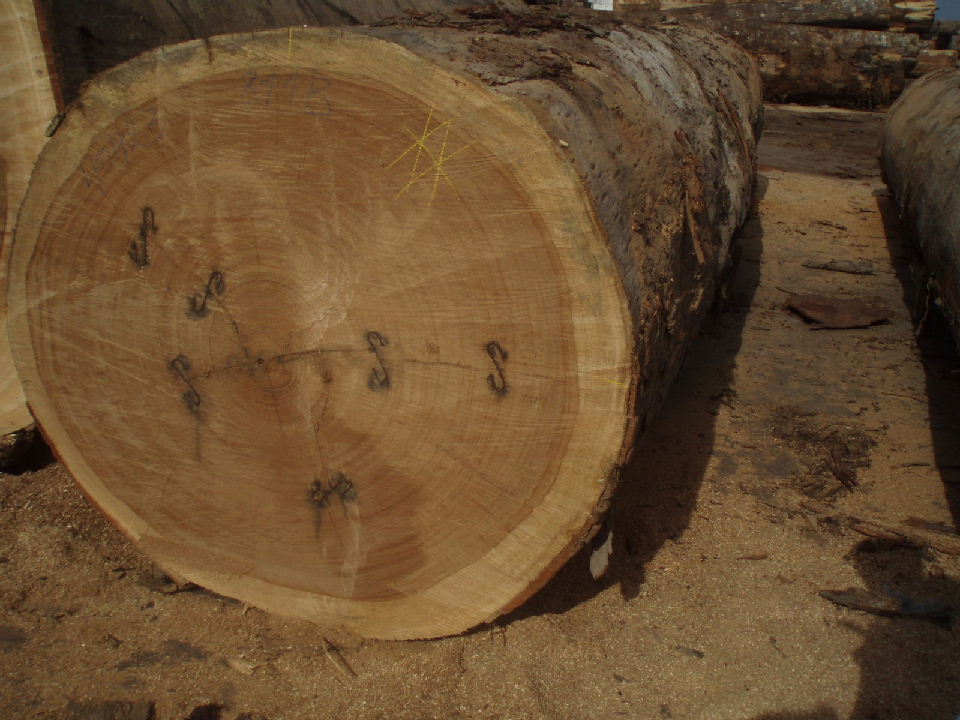 ������ľ��Ԕ��(x��)��B