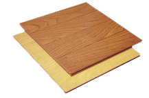 �ذ�ĵ�Ԕ����B