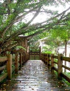 ľ�Y(ji��)��(g��u)����