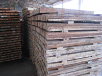 ľ�бP(p��n)��Ԕ��(x��)��B