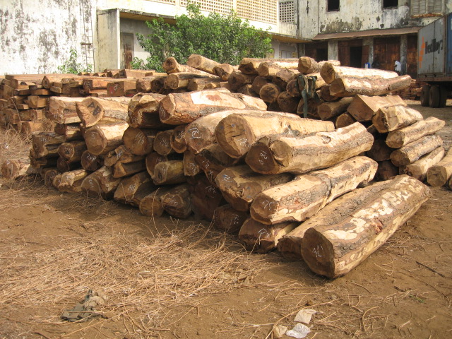 ����ԭľ��Ԕ����B