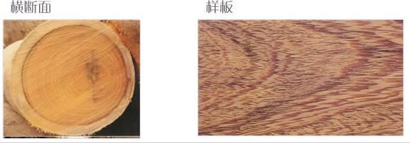 �u��ľ��Ԕ����B