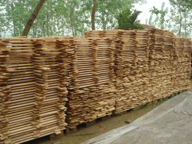 ��ľ��ĵ�Ԕ����B