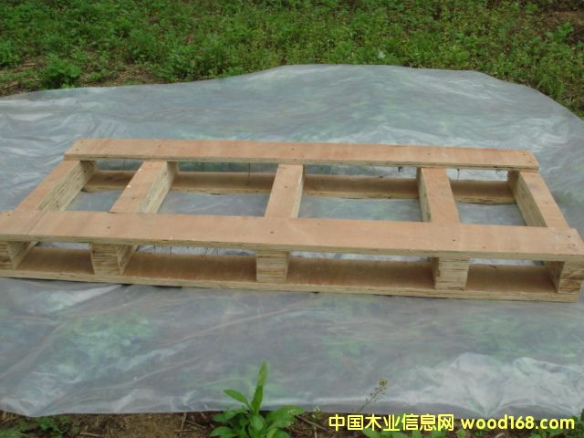 ��޹���бP��Ԕ����B