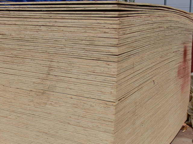 �бP���Ԕ��(x��)��B