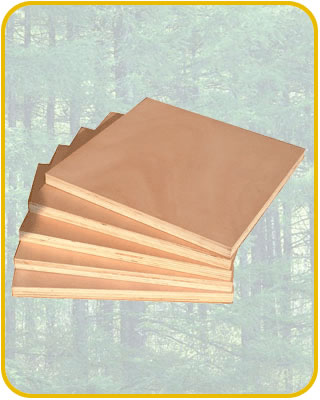 �W������(x��)ľ�����Ԕ��(x��)��B