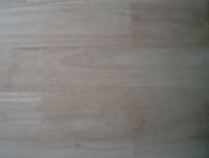 ̩�����zľָ�Ӱ�