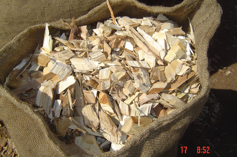 �����sľľƬ��Ԕ��(x��)��B