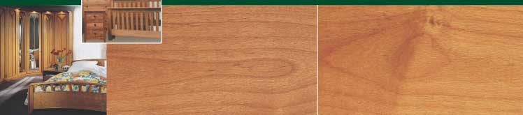 ����(��)ľAlder�����������Ҿߣ�