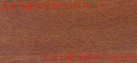 �c(di��n)���鿴����ᶹ��(sh��)ľ�ذ��Ԕ��(x��)�Y��