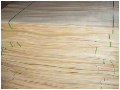 ��Ƥ��Ԕ����B