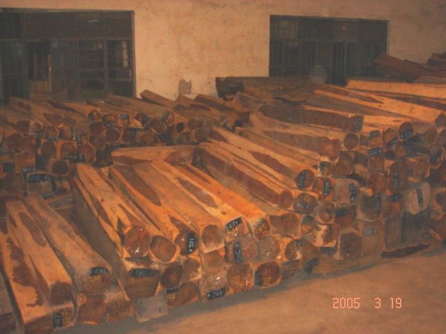 �ϓ��t��֦��Ԕ����B