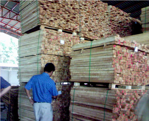 ���zľ��Ԕ��(x��)��B