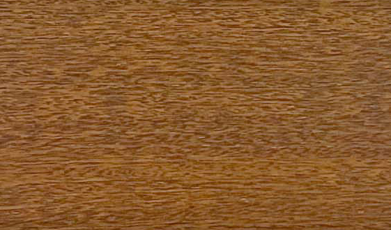 ���}���Ԕ��(x��)��B