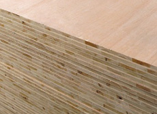 ��ɽɼ��(x��)ľ�����Ԕ��(x��)��B