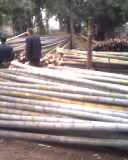 ����Ԕ��(x��)��B