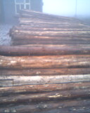 ɼԭľ��Ԕ��(x��)��B