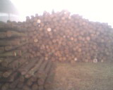 ԭľ��Ԕ��(x��)��B