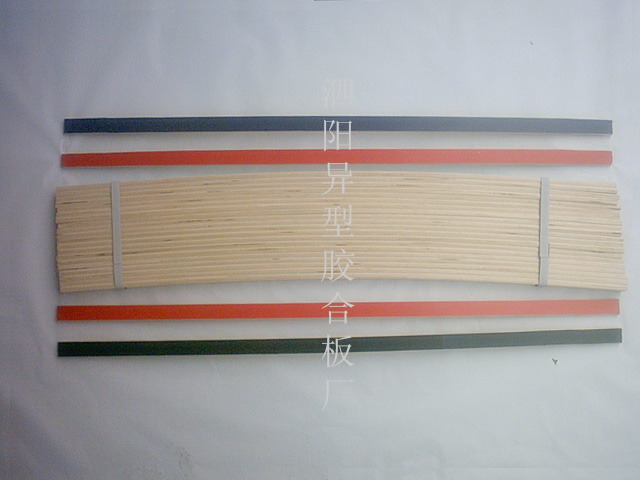 �N���ŹǗl��Ԕ��(x��)��B