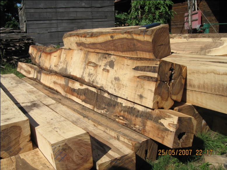 ����܊����ľ��MORADO����Ԕ��(x��)��B